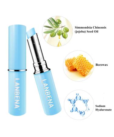 Hyaluronic Acid Lip Balm - Moisturizing & Nourishing, Reduce Fine Lines, Protect Skin - Natural Extracts (New Packaging) - Buy Online on GoSupps.com