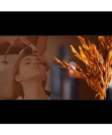  Totex Totex Argan Oil Shampoo for Hair Premium Moisturizing and Nourishing Hair Care | Deep Hydration | Fast Repair - Buy Online on GoSupps.com