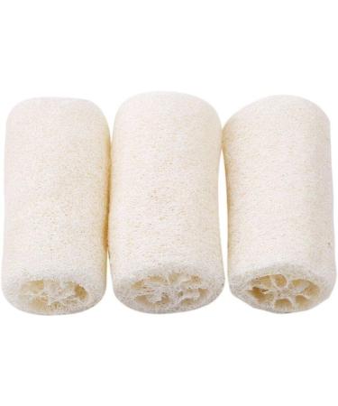 Durability Popular Body Sponge Bath Cleaning and Cleaning Work Set of 3 Stylish Nice and Deft - Buy Online on GoSupps.com
