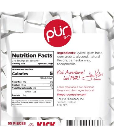 PUR Gum Cinnamon Flavor - Sugar-Free, Vegan, Keto, Gluten-Free - 55 Pieces - Buy Online on GoSupps.com