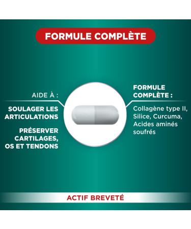 Fort Pharma - Fort Flex Joints - Joint Supplement - Collagen Type II Turmeric Silica Vitamin C Zinc - Bone Health Tendons Ligaments - 30 Capsules 1/Day - Buy Online on GoSupps.com