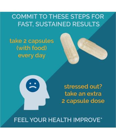 Clear Probiotics Inflammatory Support Supplement - Gut Health - Body Aches Relief - Antioxidants - Turkey Tail & Ginger Root - 60 capsules - Buy Online on GoSupps.com