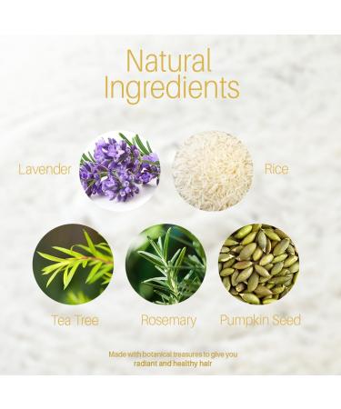 Rice Water Shampoo & Conditioner Set - Nourishing Hair Care Promotes Growth & Shine - 16 fl oz Each - Buy Online on GoSupps.com