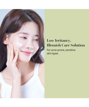 Heartleaf Blemish Moisture Cream - 100ml | Nourishing & Hydrating | Ideal for All Skin Types - Free Worldwide Shipping - Buy Online on GoSupps.com