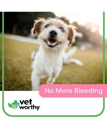 Vet Worthy Styptic Powder for Dogs and Cats - Stop Bleeding Fast! - Buy Online on GoSupps.com