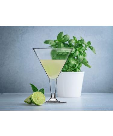 DecorRack 24 Martini Cocktail Glasses - Plastic Party Champagne Cups for Outdoor Events - Stackable Stemmed, Reusable, Disposable - Pack of 24 - Buy Online on GoSupps.com
