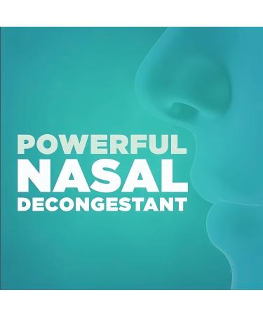 berkley jensen No Drip Severe Congestion Nasal Spray - Maximum Strength Decongestant with Oxymetazoline HCl & Menthol - Pump Mist Applicator No Steroid 12 Hour Relief 1 Fluid Ounce (Pack of 2) 1 Fl Oz ( PACK OF 2) - Buy Online on GoSupps.com