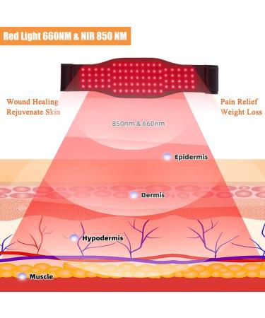 Naviocean Red Infrared Light Therapy Belt - Pain Relief Wrap with Timer for Back, Shoulder, Knee Joints - 660NM 850NM Near-Infrared LED Light Device - Buy Online on GoSupps.com