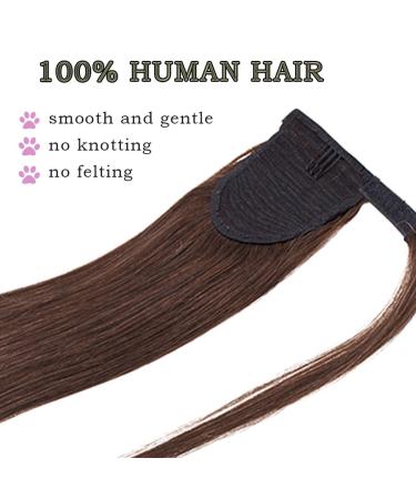 SEGO 18 Clip-In Ponytail Hairpiece & Braid Extensions - Real Remy Hair Medium Brown 90g - Buy Online on GoSupps.com