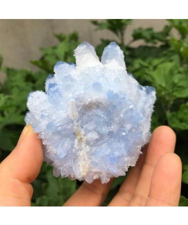 Blue Phantom Quartz Crystal Cluster Ore Crystal Cluster (Size : 250-300g) - Buy Online on GoSupps.com