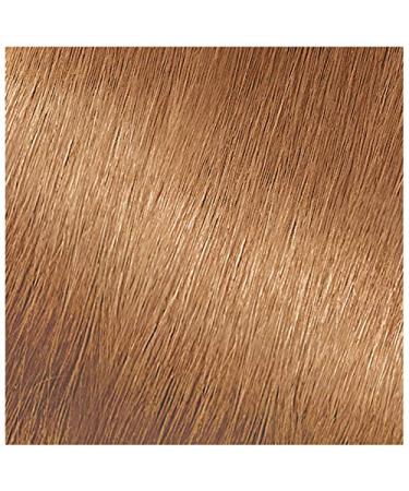 Garnier Nutrisse Nourishing Creme 73 Dark Golden Blonde Permanent Hair Dye - 2 Count - Buy Online on GoSupps.com