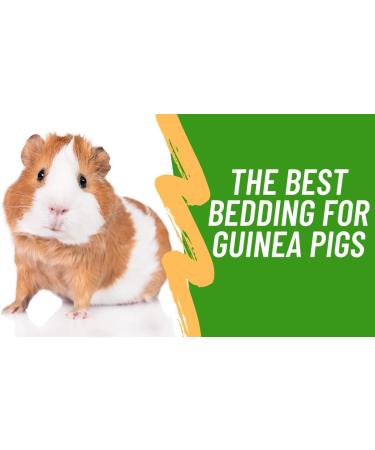BlissLo Wood Shavings Pet Bedding | Super Absorbent Odour Free Sawdust for Rabbits Chinchillas Gerbil Mice Squirrels Rats Small Pets | Softwood Natural Pet Bedding Woodchips (1kg Small Pack) - Buy Online on GoSupps.com