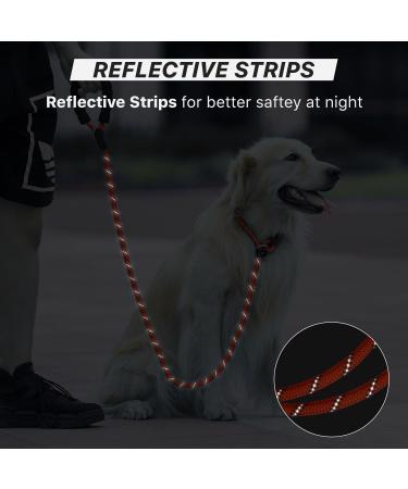 NEXLUVE Dog Slip Lead 6ft Anti-pull Dog Training Leash Rope Lead with Durable padded 2 Handles 6FT/182cm Adjustable Dog long Lead for Small Medium and Large Dogs (RED) - Buy Online on GoSupps.com