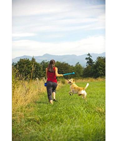 ChuckIt! The Whistler Ball Durable High Bounce Rubber Dog Ball Launcher Compatible Orange & Blue Medium 2 Pack Medium Pack of 2 - Buy Online on GoSupps.com