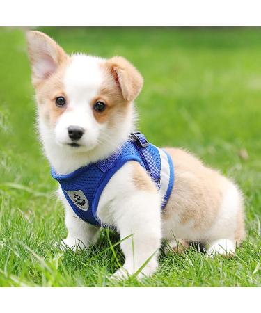 Femax Dog Harness & Break-Proof Cat Dishes - Adjustable Reflective No-Pull Design for Small Dogs & Cats (XS 26-29 cm) - Shop Internationally - Buy Online on GoSupps.com