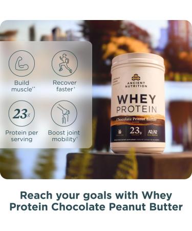 Ancient Nutrition Grass-fed Whey +Fat Loss Protein Powder Vanilla Cinnamon 18 Servings + Grass-fed Whey Protein Powder Chocolate Peanut Butter 18 Servings - Buy Online on GoSupps.com
