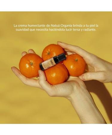 Buy Hotel Amenities Body Lotion 0.84 oz | 126 Pieces - Luxury Travel Size | International Shipping Available - Buy Online on GoSupps.com