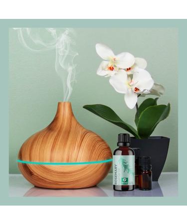 Pure Rosemary Essential Oil for Aromatherapy - 0.33 Fl Oz - Hair, Skin, Nails - Cleansing & Enhancing Oil for Diffusers - Dry Scalp Treatment and Shine Boost - Buy Online on GoSupps.com