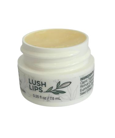 SandiBee Botanicals Lush Lips Vegan Lip Treatment Balm Hydrating Daily Moisturizer 0.25 fl oz Clean Formula - Buy Online on GoSupps.com