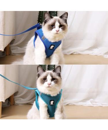 Buy Cat Harness & Leash Set | Cat Dishes for Small Cats | Outdoor Walking Accessories - Buy Online on GoSupps.com