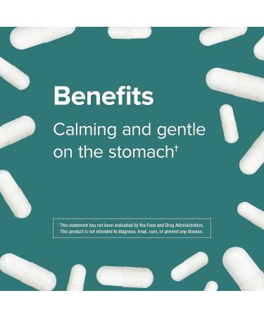 Webber Naturals Magnesium Bisglycinate 200mg | 120 Vegetarian Capsules | Supports Bone, Teeth, and Muscle Health | Gentle on Stomach | Gluten, Dairy Free | Vegan - Buy Online on GoSupps.com