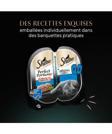 Sheba Ideal Portions Containers Wet Food for Adult Cats Exquisite Tuna Sauce - 3 x (2x37.5 g) 225 g - Pack of 8 - Buy Online on GoSupps.com