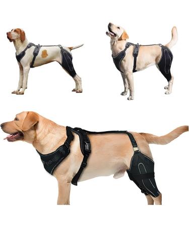 FXNFXLA Dog Knee Brace for Anterior Cruciate Ligament Tear Dog Knee Brace for Patella Luxation Support Cruciate Ligament Injury - Buy Online on GoSupps.com