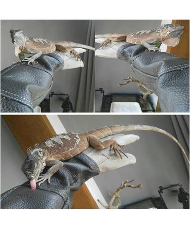 Guantes de Protecci n para Manejo de Animales - Antira azos y Antimordeduras - Guantes de Piel de Vaca para Ba o y Alimentaci n de Mascotas - Buy Online on GoSupps.com