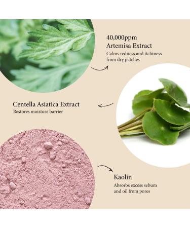 Artemisia Steam Mask Korean Warming Clay Mask for Deep Pore Cleansing Acne Control & Oil Balancing Kaolin & Centella for Inflamed Oily & Acne-Prone Skin Detoxifying 1.76 oz. - Buy Online on GoSupps.com