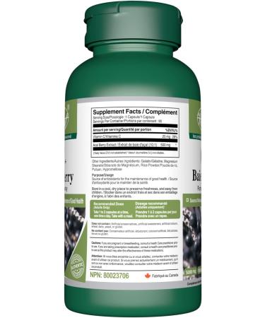 VORST Acai Berry 500mg 10:1 Extract (5000mg Raw Equivalent) with Vitamin C 90 Capsules | Antioxidant Supplement for Digestion Health Immune Health & Anti Aging | Includes Vitamin C | Powder Pills | 1 Bottle 90 count (Pack of 1) - Buy Online on GoSupps.com