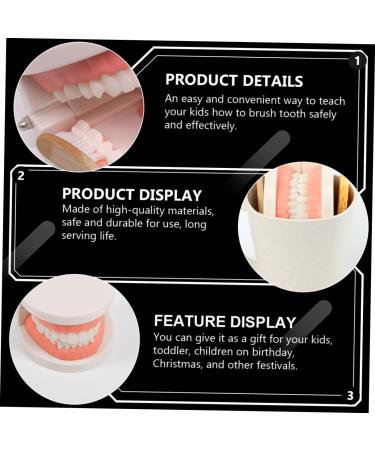 Minkissy Educational Tooth Model Set for Kids | Early Dental Hygiene Teaching Toy | Reusable ABS Prosthesis & Dentures Model - Buy Online on GoSupps.com