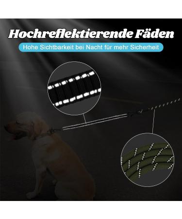 Aystkniet Bungee Dog Drag Line - 3m 5m 10m 15m 20m 30m | Shock-Absorbing Leash with Padded Handle & Reflective Threads for Medium Large Dogs - Army Green - Buy Online on GoSupps.com