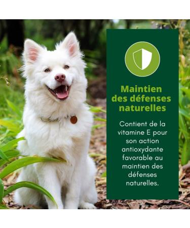 EQUILIBRE & INSTINCT - Adult Dog - Medium/Large Size - Poultry Kibble - Bone Strength - Complete Recipe Formulated with Veterinarians - 12kg - Made in France - Buy Online on GoSupps.com