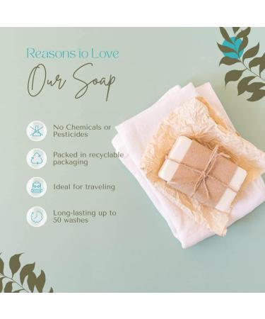 Jewelweed Goat's Milk & Oatmeal Soap - Handcrafted 5 Oz Goat Milk Soap Bar for Nourished Skin - Buy Online on GoSupps.com