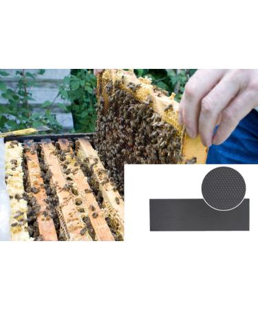 BEEXTM Plastic Foundation Sheets 10-Pack - Waxed Coated Lang's Beehive Bee Frames - Portable Honeycomb Nest for Brood Box - Beehive Equipment - Wide Size - Buy Online on GoSupps.com