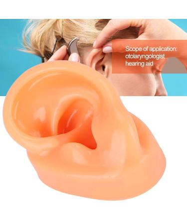 Silicone Imitation Real Human Ear Display Model - Sculpture Supplies - Buy Online on GoSupps.com