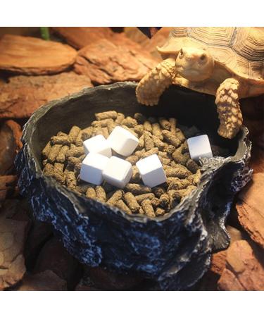 SEWACC 6pcs Reptile Blocks Fish Tank Substrate Natural Minerals Supplement Cubes for Turtles Reptiles - Buy Online on GoSupps.com