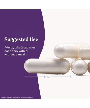 Natrol Magnesium Glycinate Supplements 240 mg - High Absorption - Calm Magnesium Glycinate for Sleep - 60 Capsules 30 Day Supply 60 Count (Pack of 1) - Buy Online on GoSupps.com