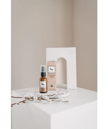 Natural Wound Ointment for Dogs | Lila Loves IT - Aloe Vera & Herbal Oils Itch Relief 30ml - Buy Online on GoSupps.com