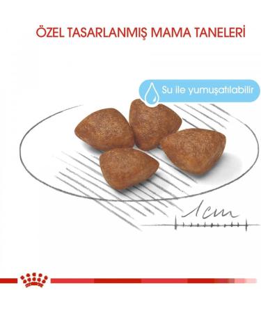 Royal Canin Mini Starter Mother & Babydog 4kg - Buy Online on GoSupps.com