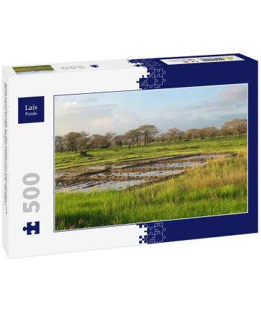 Lais Puzzle A landscape near Diouloulou with rice cultivation in the Casamance region Senegal 500 pieces