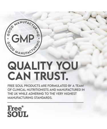 Super Strength 50 Billion CFU Probiotic Complex | 16 Live Strains | Vegan Digestive Enzyme | UK Made - Free Soul - Buy Online on GoSupps.com
