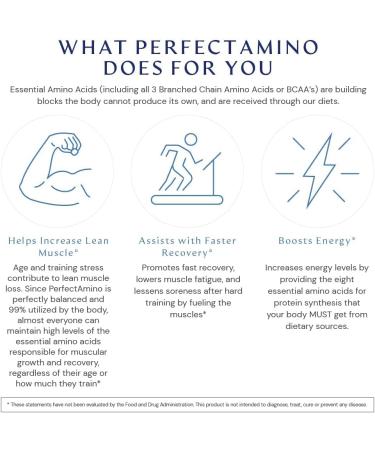 BodyHealth PerfectAmino XP Mixed Berry (120 Servings) Best Pre/Post Workout Recovery Drink  8 Essential Amino Acids Energy Supplement with 50% BCAAs  100% Organic  99% Utilization - Buy Online on GoSupps.com