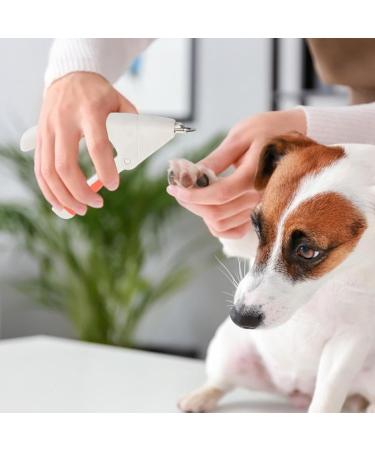 Cat Nail Clippers Stainless Steel Pet Nail Clipper Professional Cat Nail Clippers and Dog Nail Clippers | Cat Nail Clippers Grooming Tool for White - Buy Online on GoSupps.com