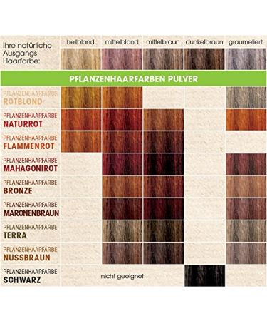 SANTE Natural Cosmetics Plant Hair Color Powder - Bronze Henna Powder 100g for Vibrant Color & Shine - Buy Online on GoSupps.com