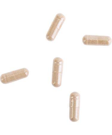 Kroeger Herb Products Olive Leaf Extract Capsules for Immune System Olive Leaf & Yarrow Supplement Vegetarian Non-GMO Gluten Free No Preservatives - 100 Capsules Made in USA - Buy Online on GoSupps.com