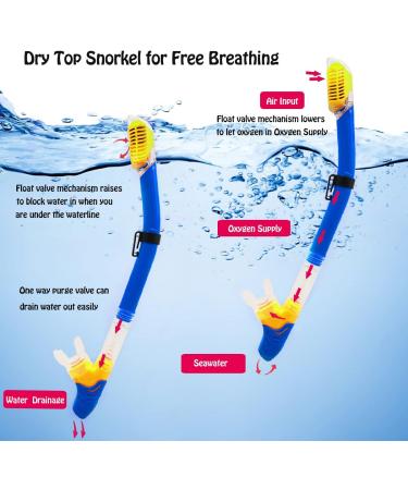 Kids Snorkeling Set with Fins, Full Dry Snorkel, and Swimming Goggles - Navy Blue/Lemon Yellow - Buy Online on GoSupps.com