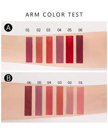 Topcent 6 Colors Matte Liquid Lipstick Set - Long-Lasting, Non-Stick, Waterproof Lip Gloss (B) - Buy Online on GoSupps.com