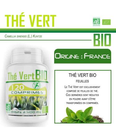 Organic Green Tea - 400 mg - 120 tablets - Buy Online on GoSupps.com