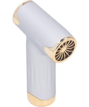 60W Electric Hair Dryer High Speed 4 Levels Wind Bladeless 1100mAh Battery Handheld Dust Blower (Silver) - Buy Online on GoSupps.com